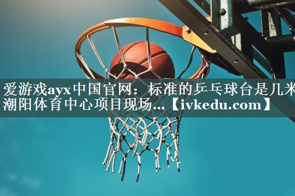 爱游戏ayx中国官网：标准的乒乓球台是几米潮阳体育中心项目现场…