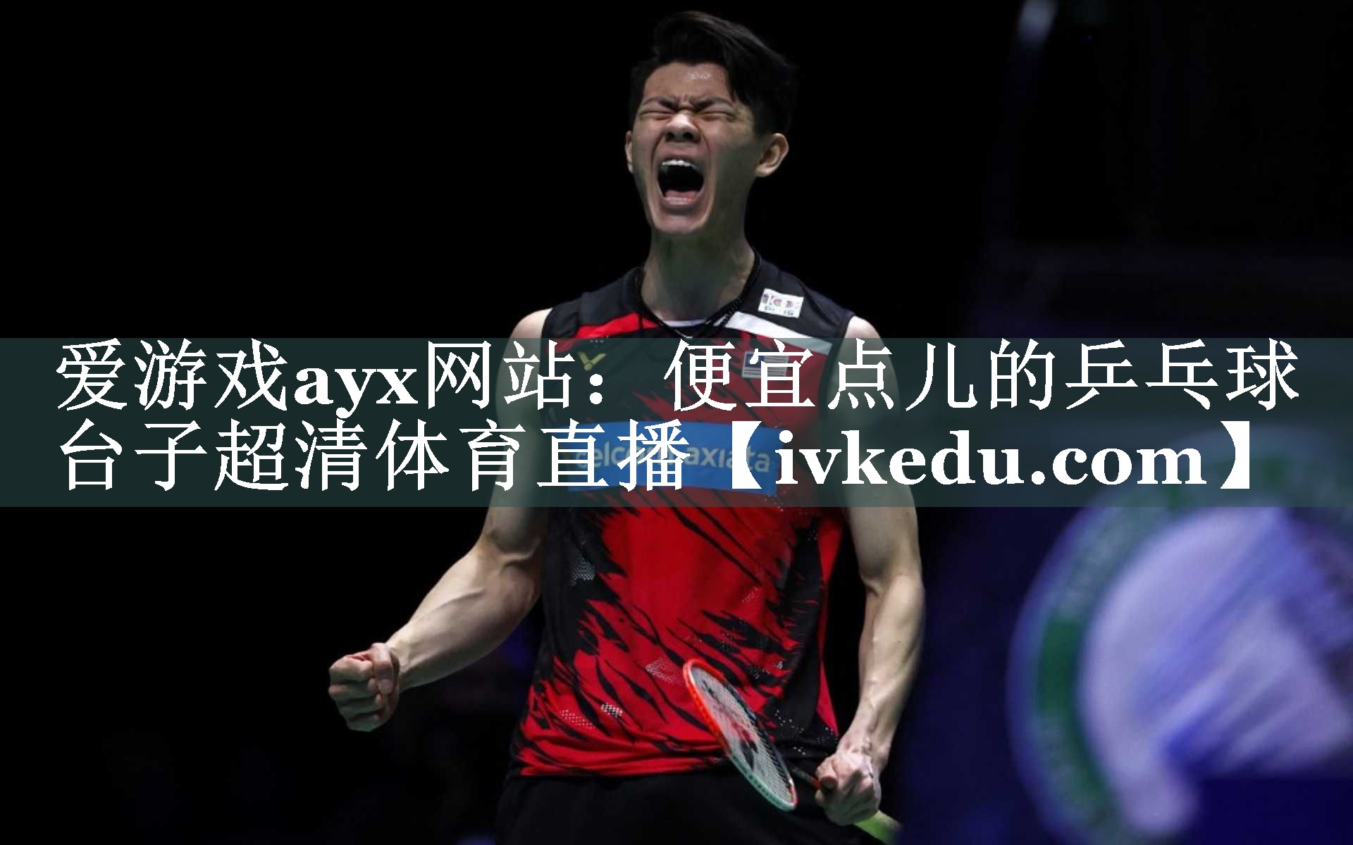 爱游戏ayx网站：便宜点儿的乒乓球台子超清体育直播