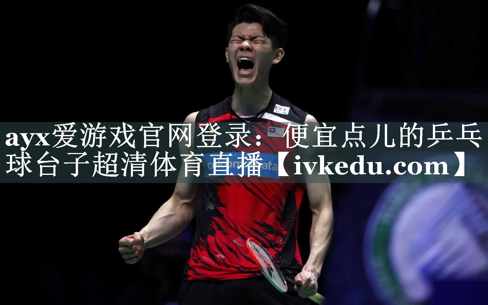 ayx爱游戏官网登录：便宜点儿的乒乓球台子超清体育直播