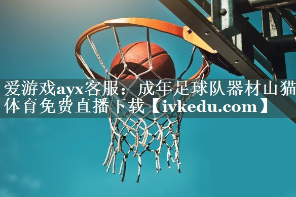 爱游戏ayx客服：成年足球队器材山猫体育免费直播下载