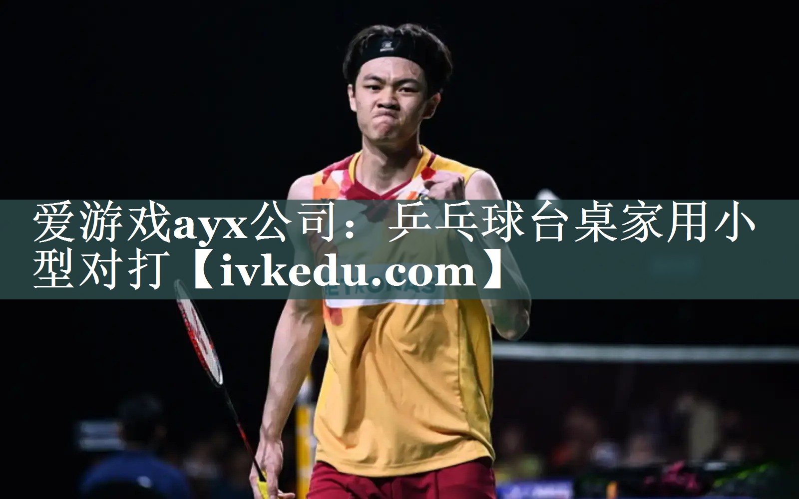 爱游戏ayx公司：乒乓球台桌家用小型对打