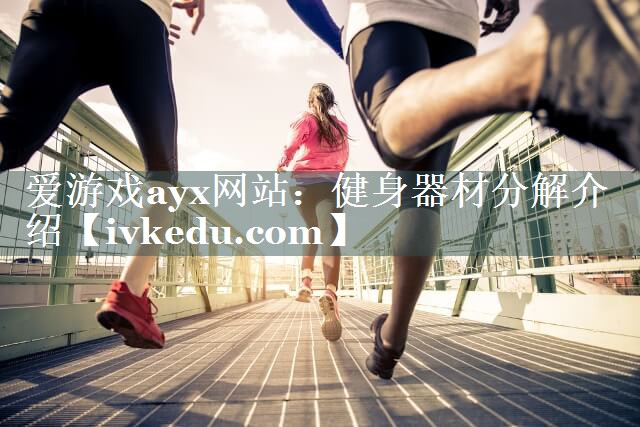 爱游戏ayx网站：健身器材分解介绍