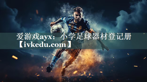 爱游戏ayx：小学足球器材登记册