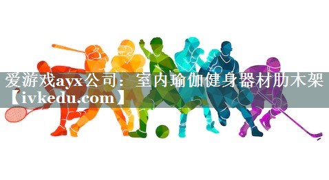 爱游戏ayx公司：室内瑜伽健身器材肋木架