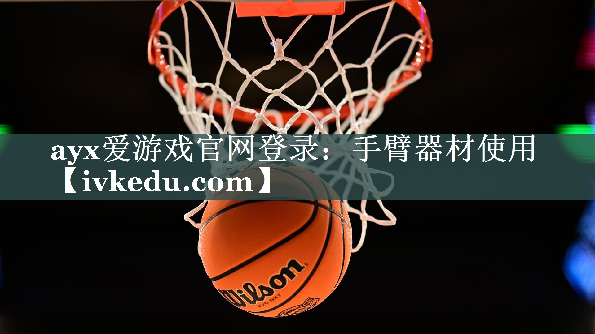 手臂器材使用 手臂器材使用