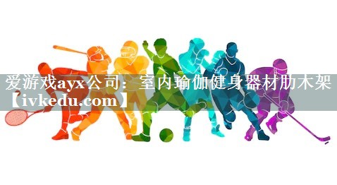 室内瑜伽健身器材肋木架 室内瑜伽健身器材肋木架